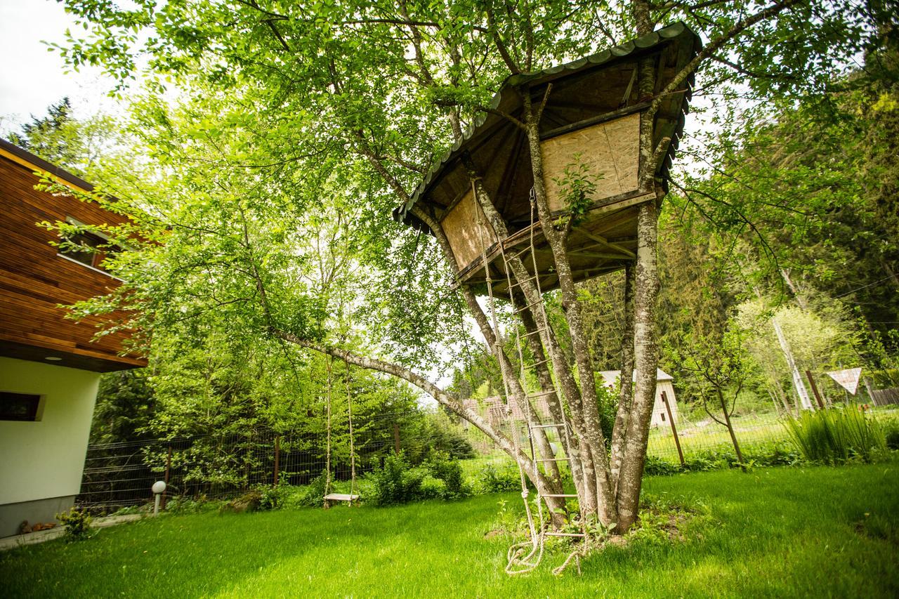 Cabana Jasmin Băile Chirui Zewnętrze zdjęcie